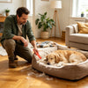 Pet Hair Carpet Rake